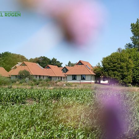 Jugendtours-Feriendorf Ummanz מראה חיצוני תמונה