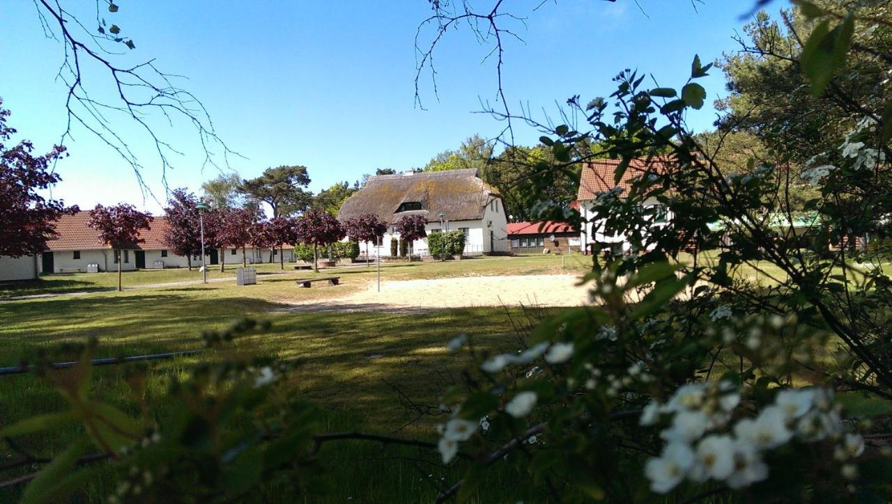 Jugendtours-Feriendorf Ummanz מראה חיצוני תמונה