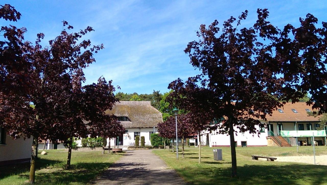 Jugendtours-Feriendorf Ummanz מראה חיצוני תמונה