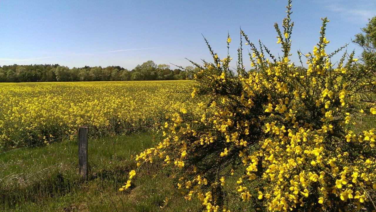 Jugendtours-Feriendorf Ummanz מראה חיצוני תמונה
