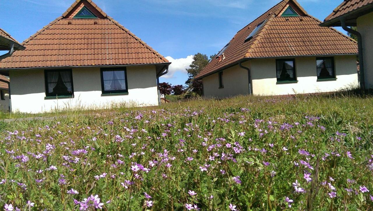Jugendtours-Feriendorf Ummanz מראה חיצוני תמונה