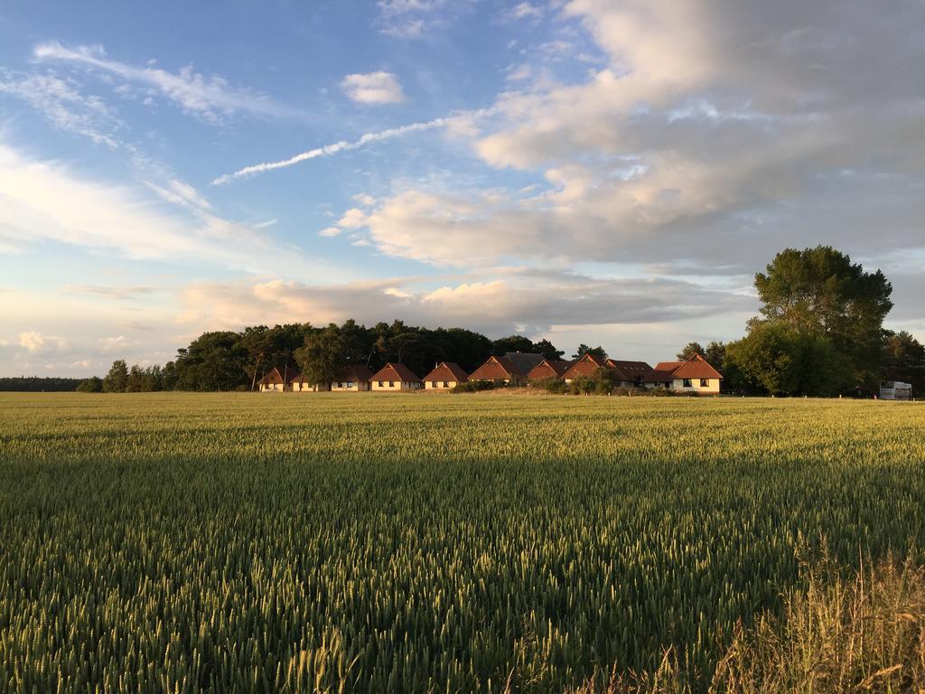 Jugendtours-Feriendorf Ummanz מראה חיצוני תמונה
